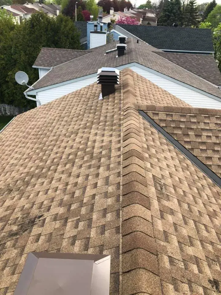 216297769 1163193664149295 2715415655529070326 n