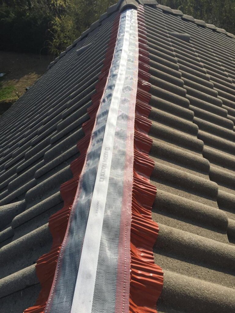 61825 8d615ab0 29c5 4ab4 80ec b6b9994a752c jpeg