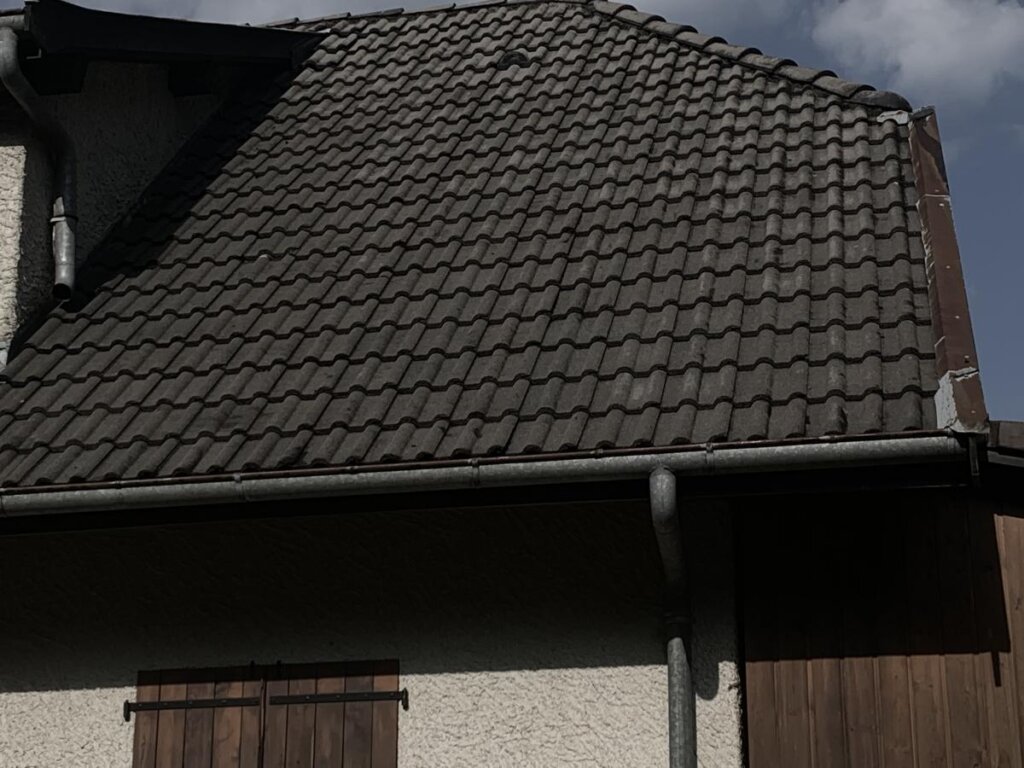 61830 fcaa73c9 1a30 4ccc 94a2 564cb2c2192f jpeg